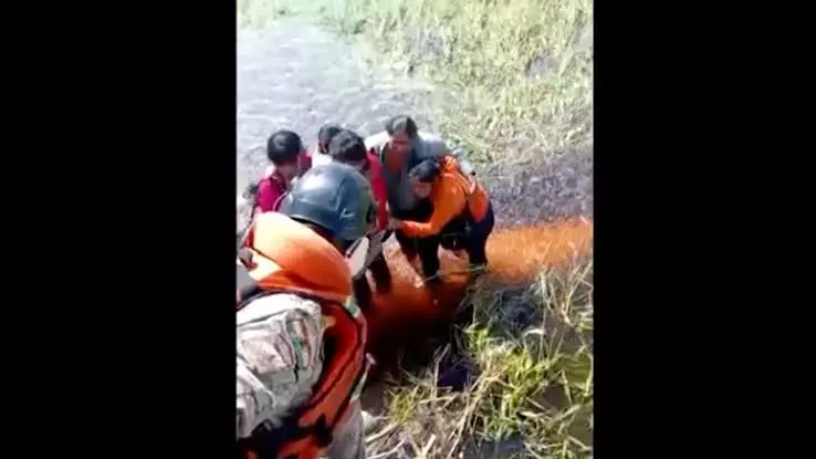 Cinco sobrevivem após queda de avião e resistem por 36 horas em pântano com jacarés